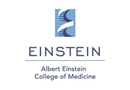 Albert Einstein College of Medicine jobs