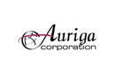 Auriga Corporation