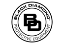 Black Diamond Group Inc.