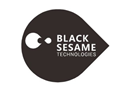 Black Sesame Technologies Inc