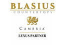 Blasius Inc