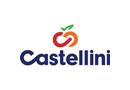 Castellini Company LLC