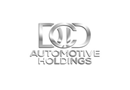 DCD Automotive Holdings