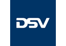 DSV Solutions LLC