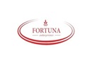 Fortuna Enterprises, LLC