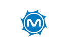 MetroStar Corporation