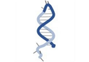 Molecular Instruments