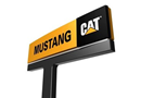 Mustang Cat