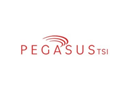 PegasusTSI Inc