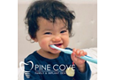 Pine Cove Dental