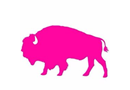 StaffBuffalo LLC
