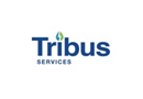 Tribus Services