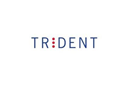 Trident Systems Inc.