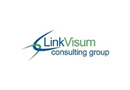LinkVisum Consulting Group
