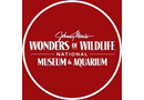 Wonders of Wildlife National Museum & Aquarium