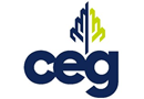 CEDARVILLE Engineering Group, LLC (CEG)