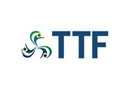 TTF Search and Staffing