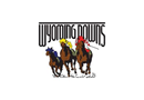 WYOMING DOWNS, LLC