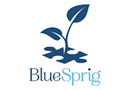BlueSprig Pediatrics jobs