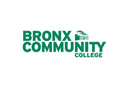 Bronx Community Health Network Inc